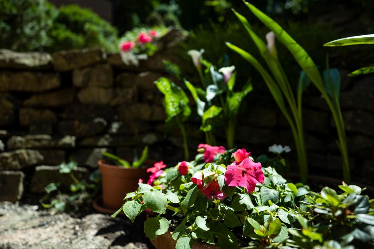 Bed and Breakfast Cecey Vendeghaz Erlau Exterior foto